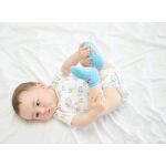 ZOOCCHINI - Καλτσάκια Σέρμαν ο Καρχαρίας (3 τεμ) - Image 5