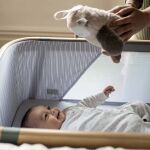 GRO COMPANY - Ollie η κουκουβάγια DELUXE - Image 5