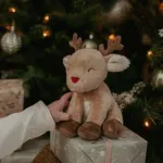 LITTLE DUTCH Χριστουγεννιάτικο σετ δώρου - Image 6